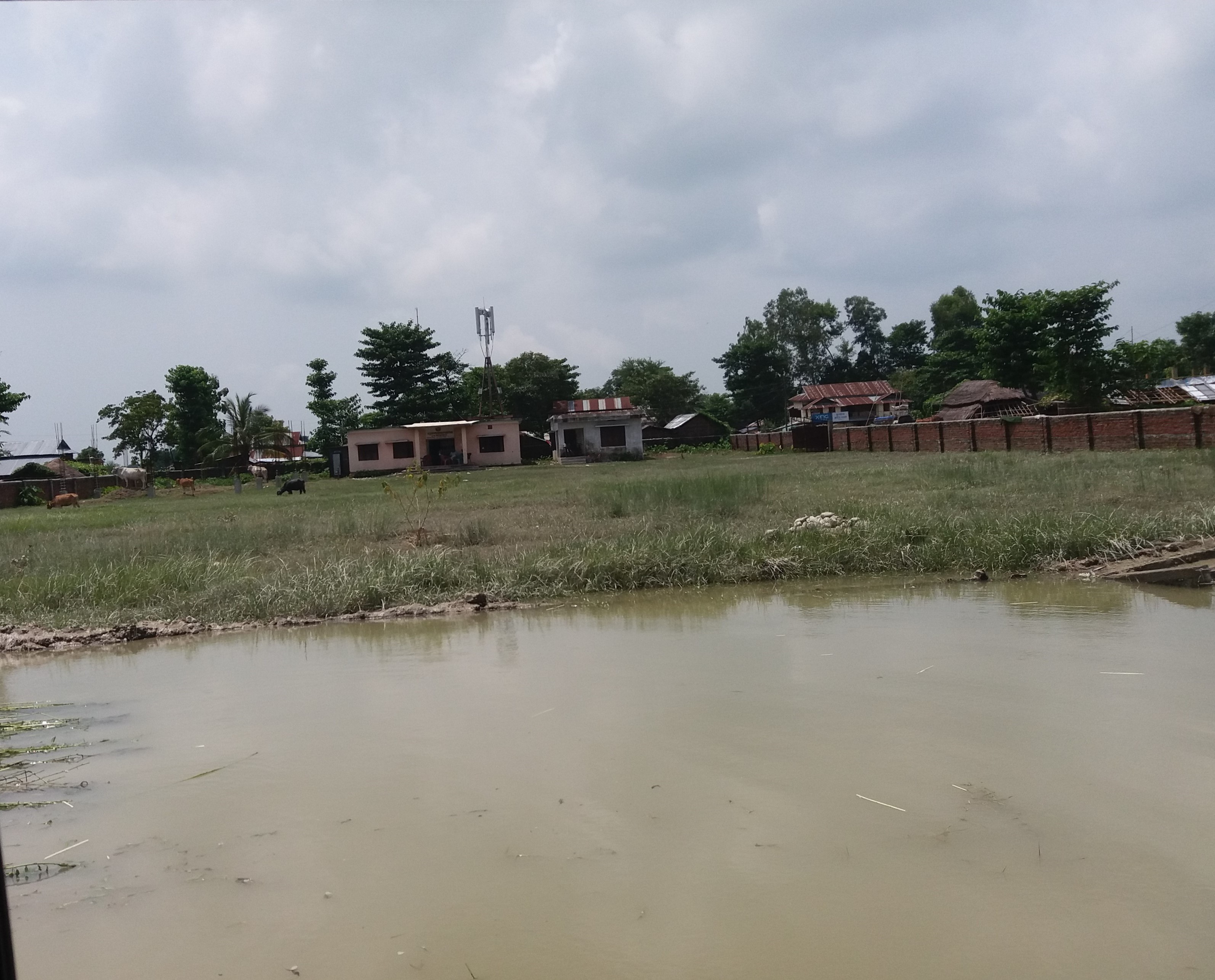 Farm land of Govindpur, Ratuwamai Municipality induated by the flood.